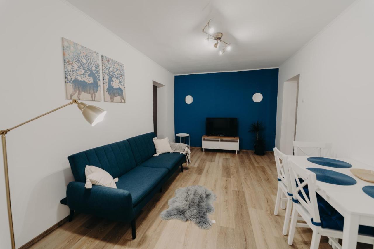 Apartamentul Albastru Vatra Dornei Exteriér fotografie
