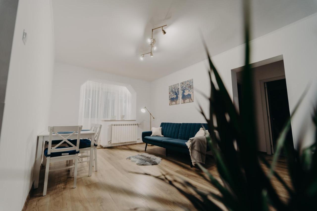 Apartamentul Albastru Vatra Dornei Exteriér fotografie